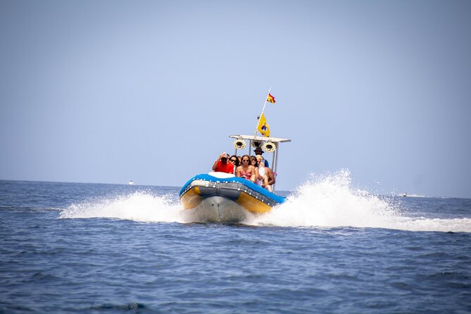 SEA SAFARI Dolphins,Whales, snorkeling, snack, drink, 3h private - Key points to know before booking