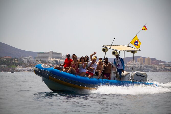 SEA SAFARI Dolphins,Whales, snorkeling, snack, drink, 3h private - Why this private Tenerife boat trip feels different