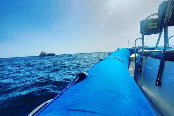 SEA SAFARI Dolphins,Whales, snorkeling, snack, drink, 3h private - What the $600.79 group price really means