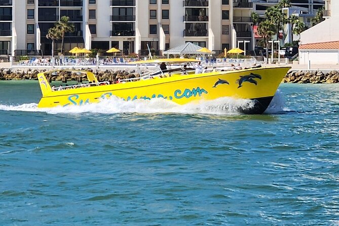 Sea Screamer Clearwater's Only Speed Boat Dolphin Watching - Quick points before you book