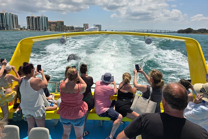Sea Screamer Clearwater's Only Speed Boat Dolphin Watching - Is $37 good value?