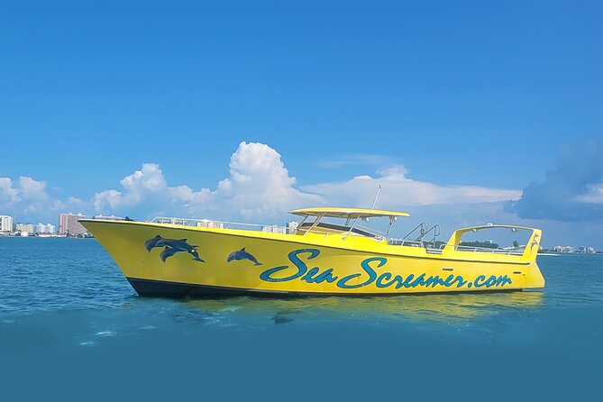 Sea Screamer Clearwater's Only Speed Boat Dolphin Watching - A fast boat with a family-friendly feel