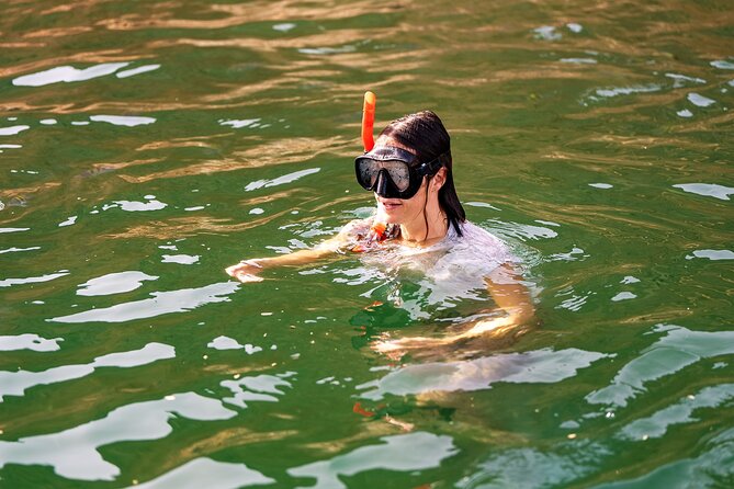Sea Wonders Dolphin Watching and Snorkeling in Muscat - A closer look at the three-hour route