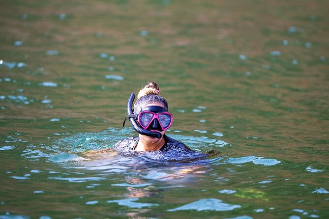 Sea Wonders Dolphin Watching and Snorkeling in Muscat - What the boat setup means for you