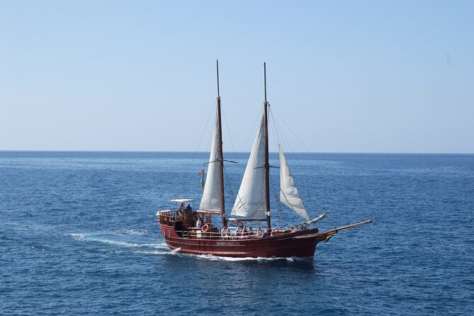 Sealife Dolphin & Whale Watching aboard Portuguese schooner - Setting sail from Los Cristianos at 10:00