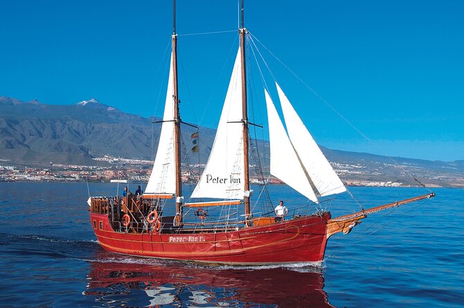 Sealife Dolphin & Whale Watching aboard Portuguese schooner - Practical details before you book