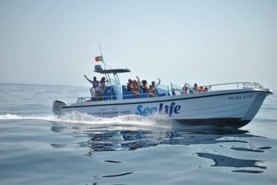 Sealife Sea Safari, Dolphin Watching with Marine Biologist’s Lagos