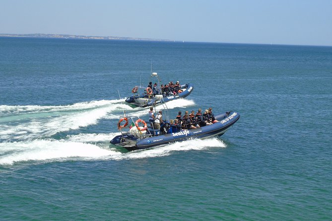 Sealife Sea Safari, Dolphin Watching with Marine Biologist's Lagos - Group size, children, and comfort