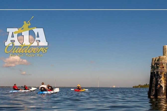 Self-Guided Kayaking Manatee and Dolphin Tour - Looking for manatees and dolphins