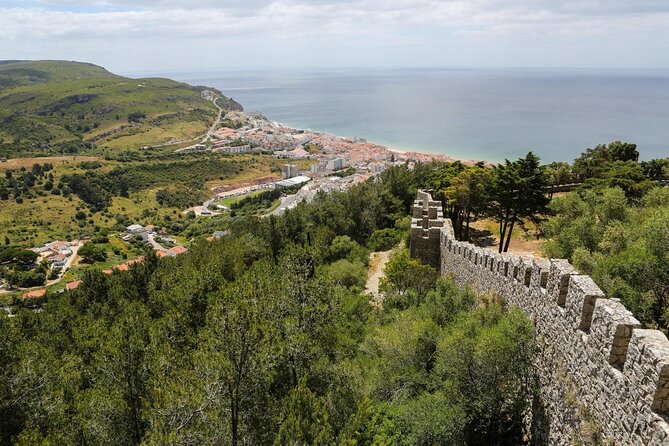 Sesimbra: Arrábida Dolphin and Whale Watching tour with biologist - Setting Out From Sesimbra Marina at 10 a.m.