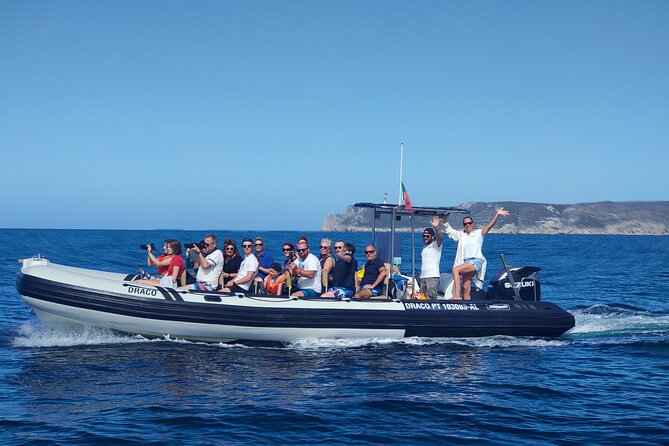 Sesimbra: Arrábida Dolphin and Whale Watching tour with biologist - Looking for Dolphins Without Chasing Them