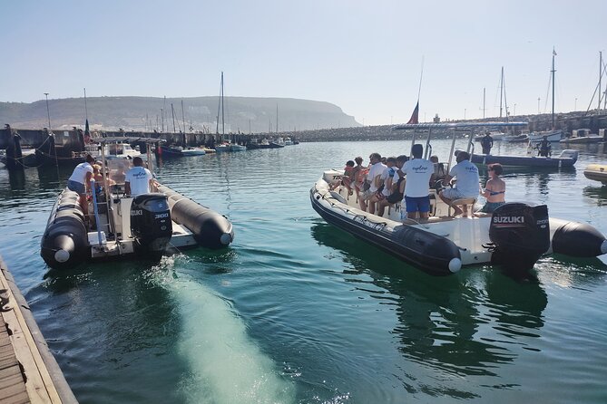Sesimbra: Arrábida Dolphin and Whale Watching tour with biologist - What the Three-Hour Schedule Feels Like