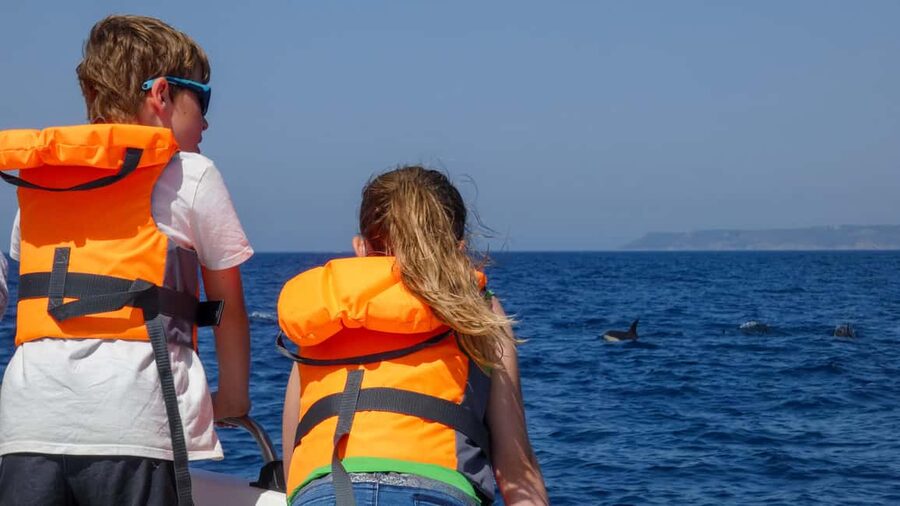 Sesimbra: Arrábida Dolphin and Whale Watching with Biologist - Is $64 a fair price?