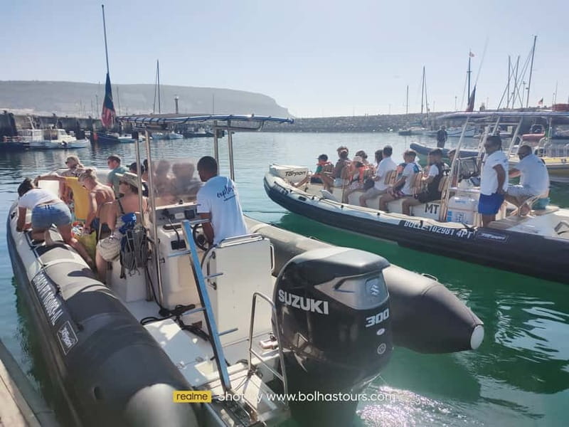 Sesimbra: Dolphin and Whales Watching with Biologist Guide - Key points at a glance