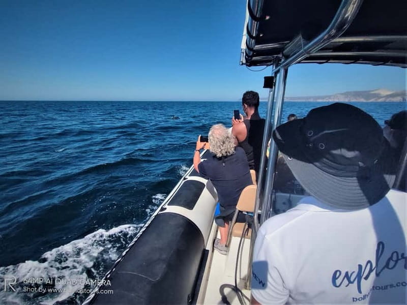 Sesimbra: Dolphin and Whales Watching with Biologist Guide - Why this Sesimbra boat trip is worth considering