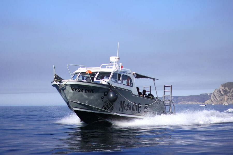 Sesimbra: Dolphin Watching with a marine biologist - A second coastal stop for photos and marine life