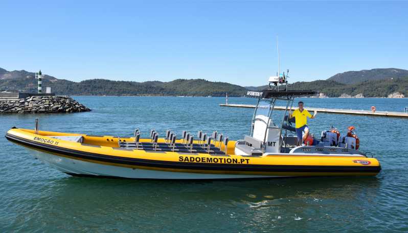 Setúbal and Tróia: Dolphin Watching and Arrábida Bays - Key points at a glance