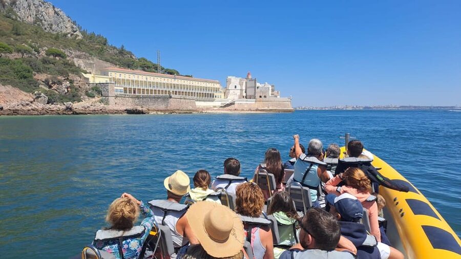Setúbal and Tróia: Dolphin Watching and Arrábida Bays - Should you book the Setúbal and Tróia boat trip?