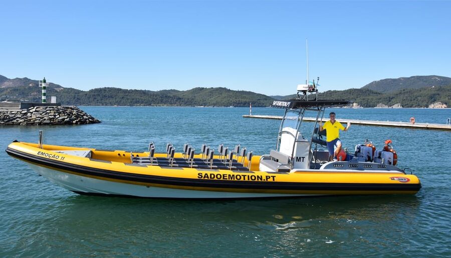Setúbal and Tróia: Dolphin Watching and Arrábida Bays - What the boat ride feels like