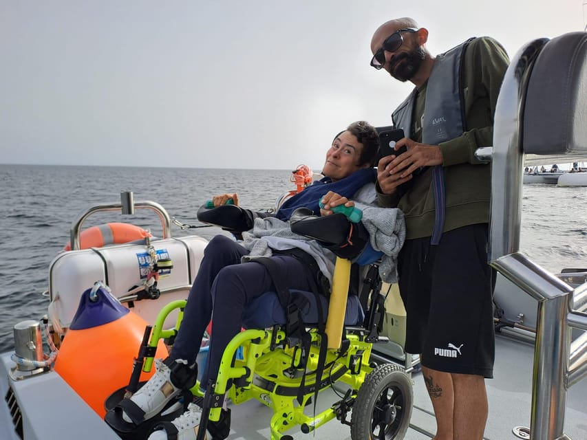 Setúbal and Tróia: Dolphin Watching and Arrábida Bays - Weather, timing, and practical preparation