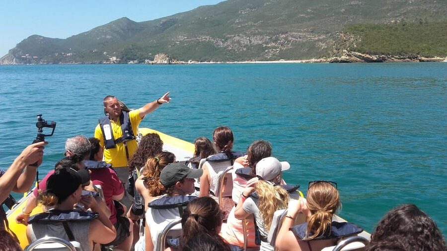 Setúbal and Tróia: Dolphin Watching and Arrábida Bays - Who will enjoy this most?