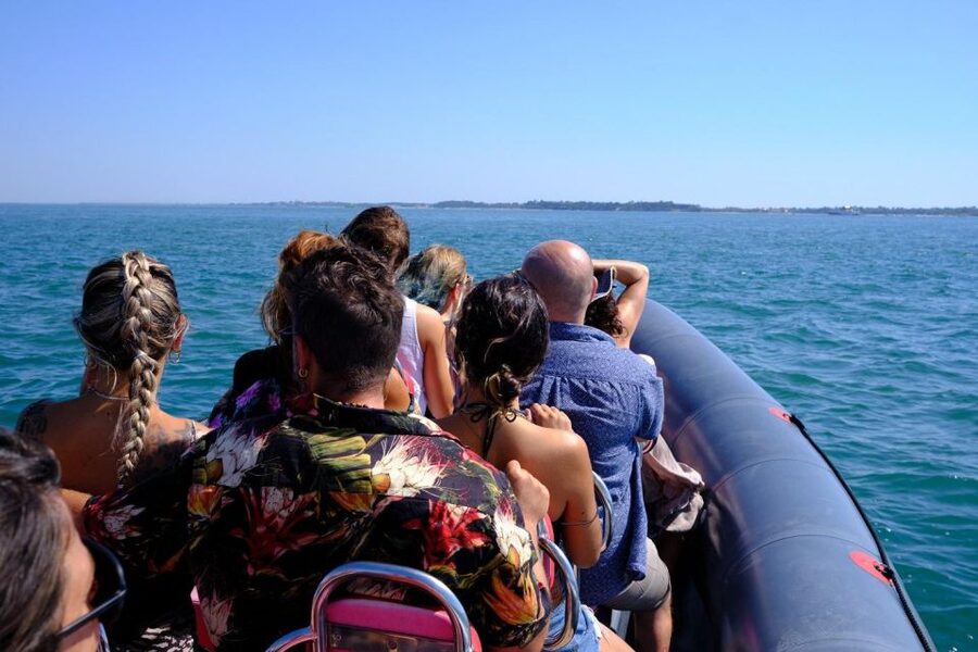 Setúbal: Dolphin-Watching Boat Tour - Planning your Setúbal day