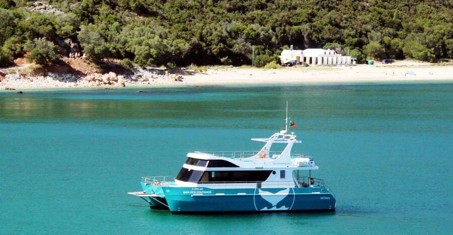 Setúbal: Dolphin Watching Tour - Setting out from Setúbal’s fishing harbour