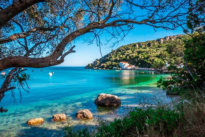 Setúbal Private Tour - Including Dolphin Watching - Inside the Sado Estuary Nature Reserve