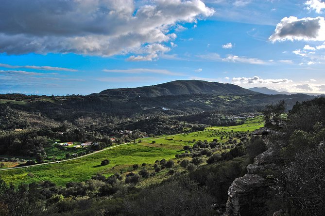 Setúbal Private Tour - Including Dolphin Watching - What the private format adds