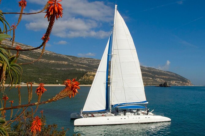 Setúbal Private Tour - Including Dolphin Watching - Who should book this day trip?