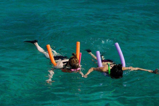 Shallow Water Snorkeling and Dolphin Watching in Key West - The first search for dolphins