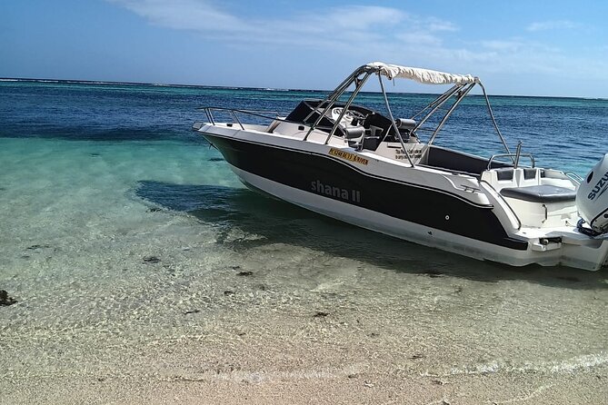 Shared 10 Pax Boat Tour: Dolphin Watching, Snorkelling and BBQ - What the skipper adds to the day
