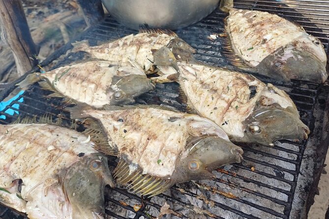 Shared 10 Pax Boat Tour: Dolphin Watching, Snorkelling and BBQ - Who will get the most from this trip