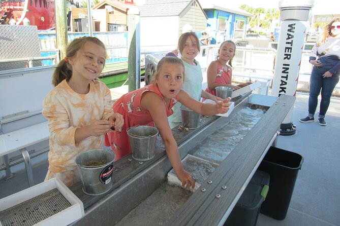 Shark Teeth and Shells, Dolphin and Shelling Tour Boat Clearwater Beach - Sifting sand for shells and shark teeth