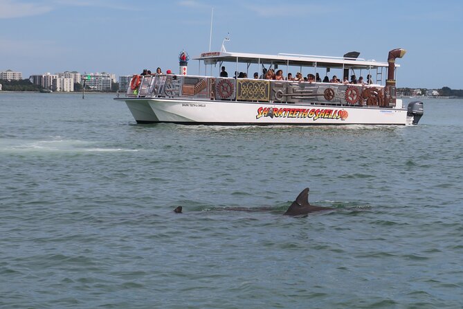 Shark Teeth and Shells, Dolphin and Shelling Tour Boat Clearwater Beach - Why the one-hour length works