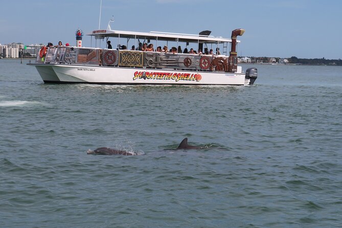 Shark Teeth and Shells, Dolphin and Shelling Tour Boat Clearwater Beach - Is $28 a fair price?
