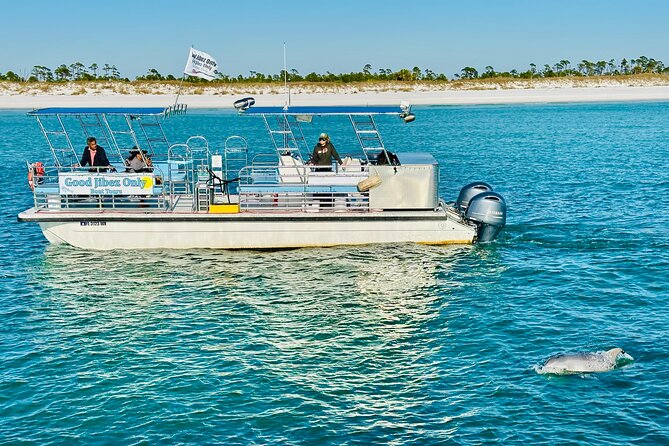 Shell Island Dolphin Sightseeing Boat Tour in Panama City Beach - Close dolphin encounters on a small Panama City Beach boat