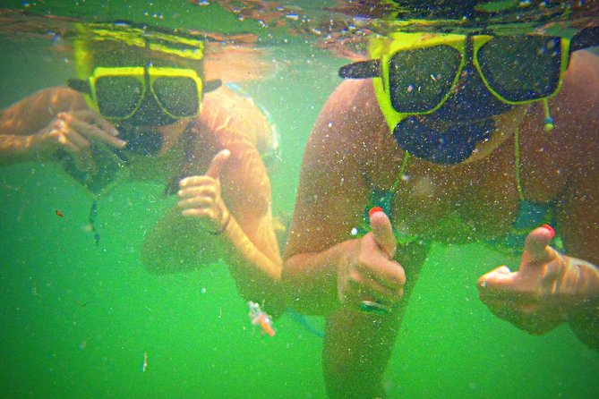 Shell Island Snorkel and Dolphin Catamaran Cruise with Island Time - Shell Island: beach time with several ways to play