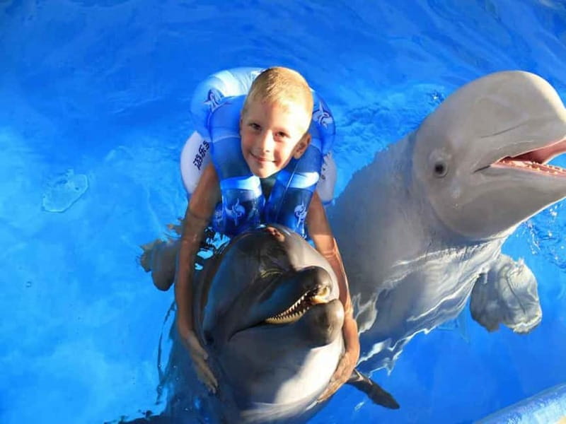 Side/Alanya: Swimming with Dolphins and Dolphin Show - Key points before you book