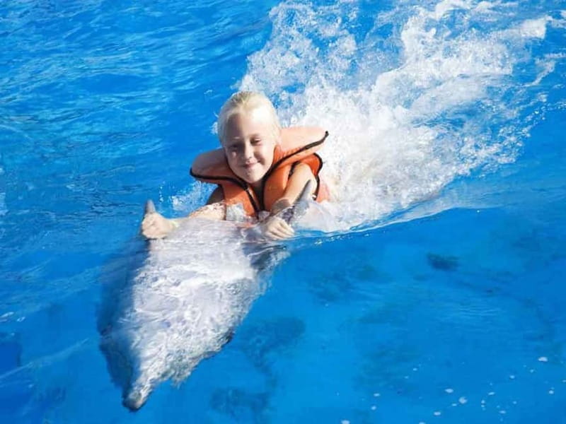 Side/Alanya: Swimming with Dolphins and Dolphin Show - The show sets the tone for the day