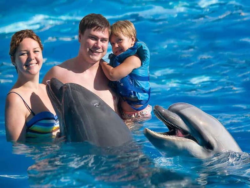 Side/Alanya: Swimming with Dolphins and Dolphin Show - The price needs a close look