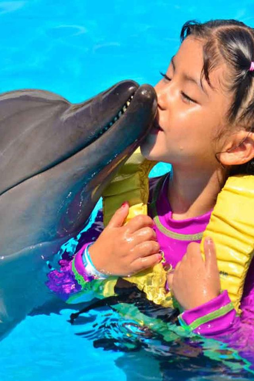 Side/Alanya: Swimming with Dolphins and Dolphin Show - What to bring for the pool session