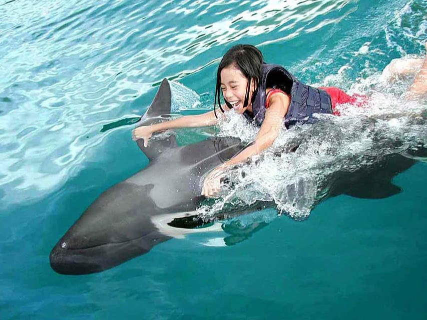 Side/Alanya: Swimming with Dolphins and Dolphin Show - Who will enjoy this most