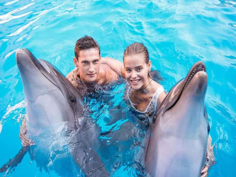 Side/Alanya: Swimming with Dolphins and Dolphin Show - The photo question can change your experience