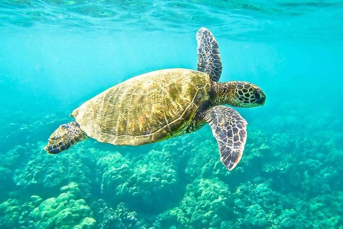 "Side: Boat Adventure to Dolphin Island – Swim and Enjoy Lunch" - Setting out from Side on a Turkish gulet
