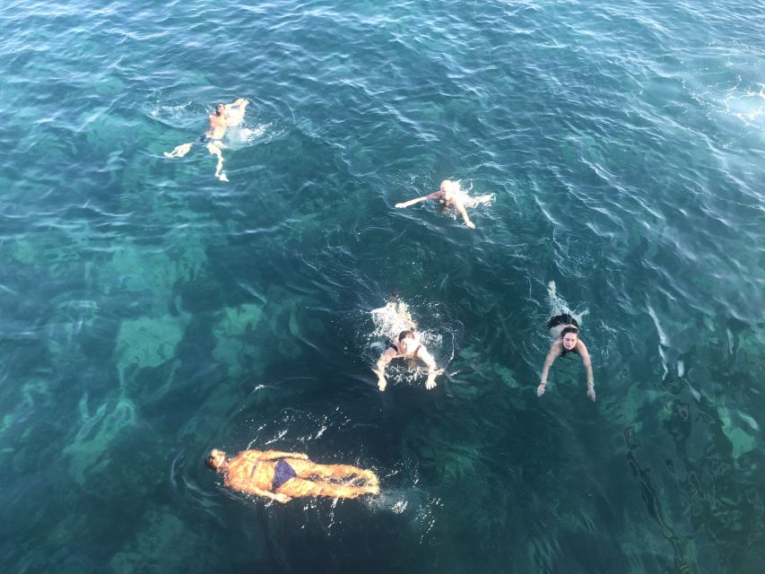Side: Dolphin Island Boat Tour w/ Lunch & Foam Party - What the $30 price really covers