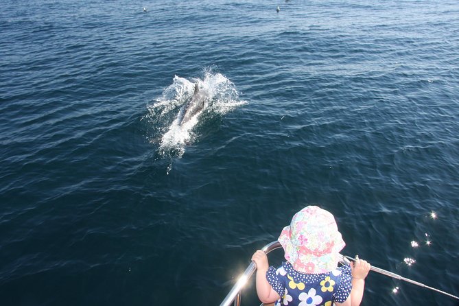 Sighting Dolphin Trip Estepona, Marbella - Setting out from Estepona harbor
