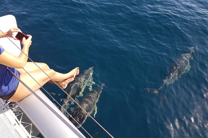 Sighting Dolphin Trip Estepona, Marbella - The coastal cruise before the dolphin search