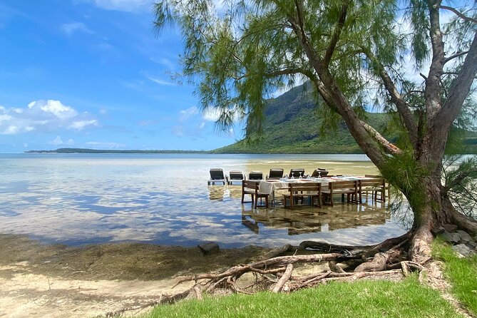 Signature Experience: Dolphins and Flavors of the Sea - Ile aux Benitiers and the seafood BBQ