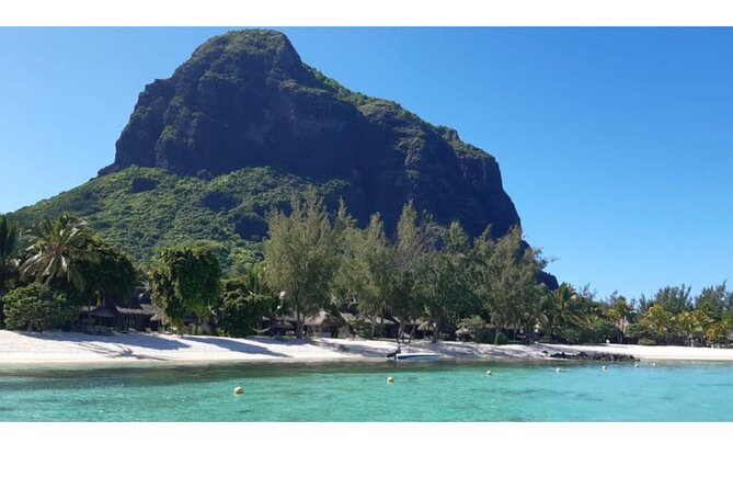 Signature Experience: Dolphins and Flavors of the Sea - Dolphin and turtle time around Le Morne